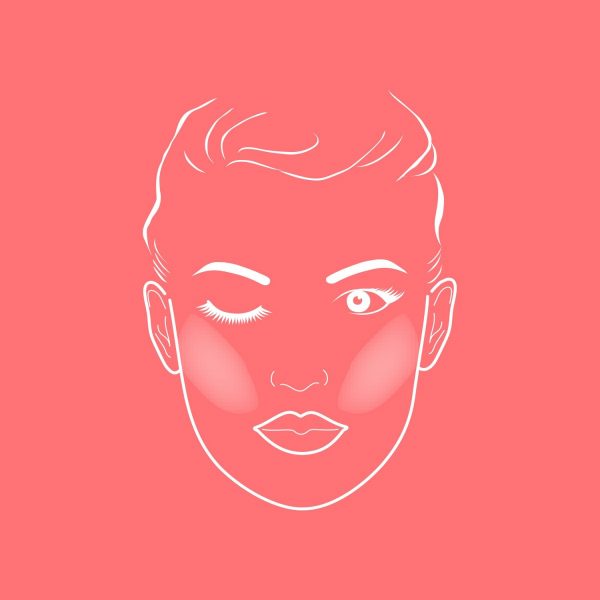 ZIINA Make Up Pinsel - Face Chart für die Anwendung von einem Blender Pinsel