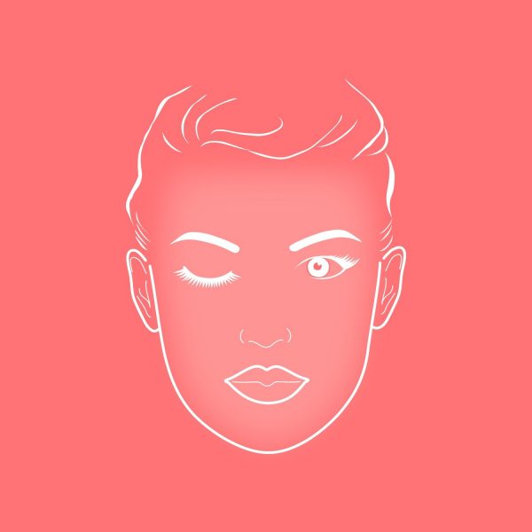 ZIINA Make Up Pinsel - Face Chart für die Anwendung Foundationpinsel