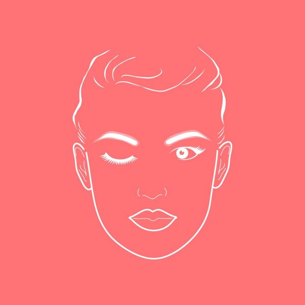 ZIINA Make Up Pinsel - Face Chart für die Anwendung von einem Augenbrauenpinsel