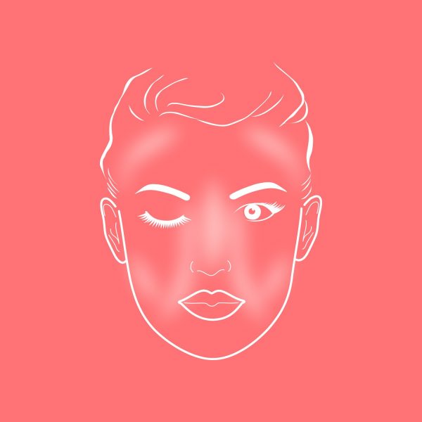 ZIINA Make Up Pinsel - Face Chart für die Anwendung von einem Contouringpinsel