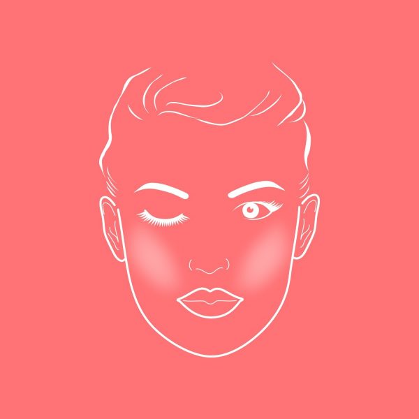 ZIINA Make Up Pinsel - Face Chart für die Anwendung von einem Rougepinsel / Blush Pinsel