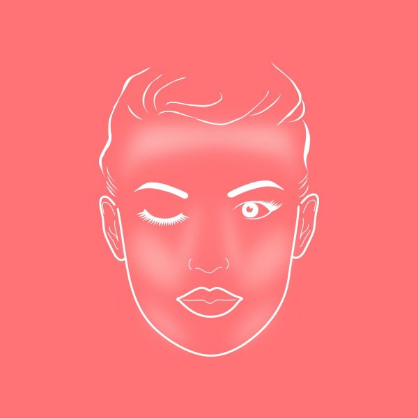 ZIINA Make Up Pinsel - Face Chart für die Anwendung Blender Pinsel