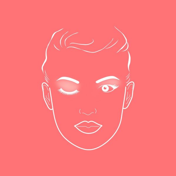 ZIINA Make Up Pinsel - Face Chart für die Anwendung von einem Lidschattenpinsel