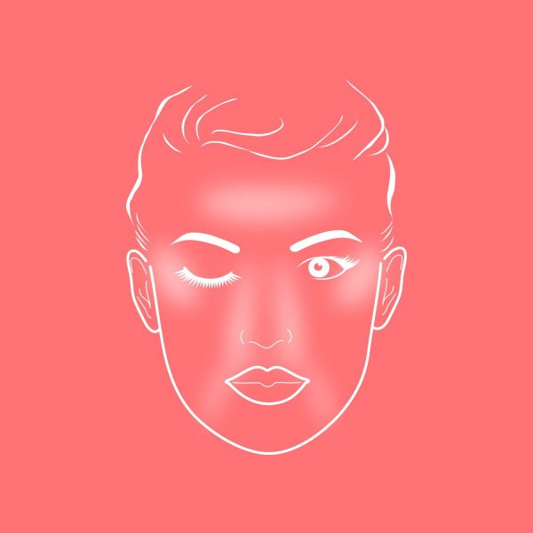 ZIINA Make Up Pinsel - Face Chart für die Anwendung von einem Highlight Pinsel